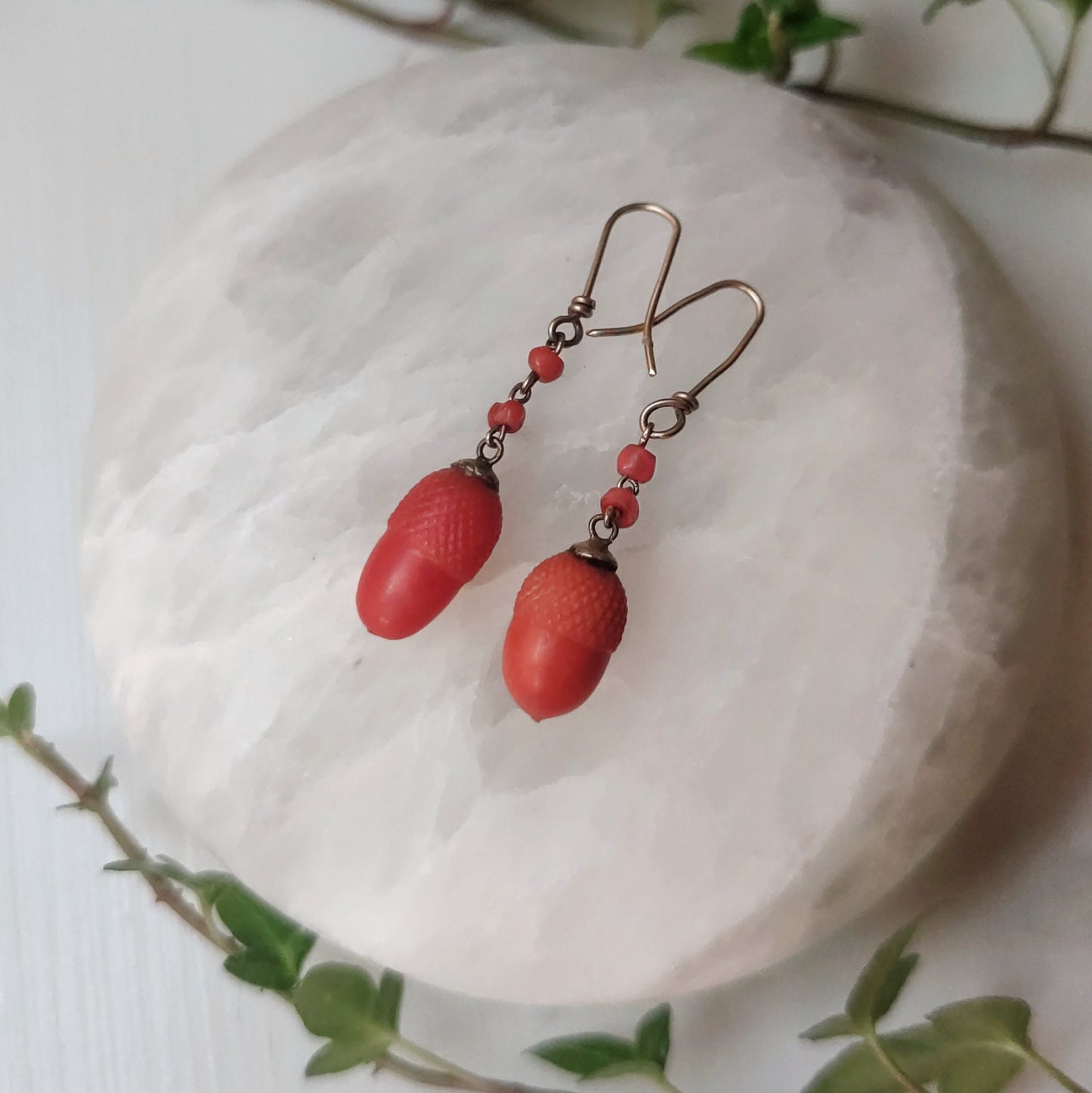 "Great oaks from little acorns grow" carved coral earrings