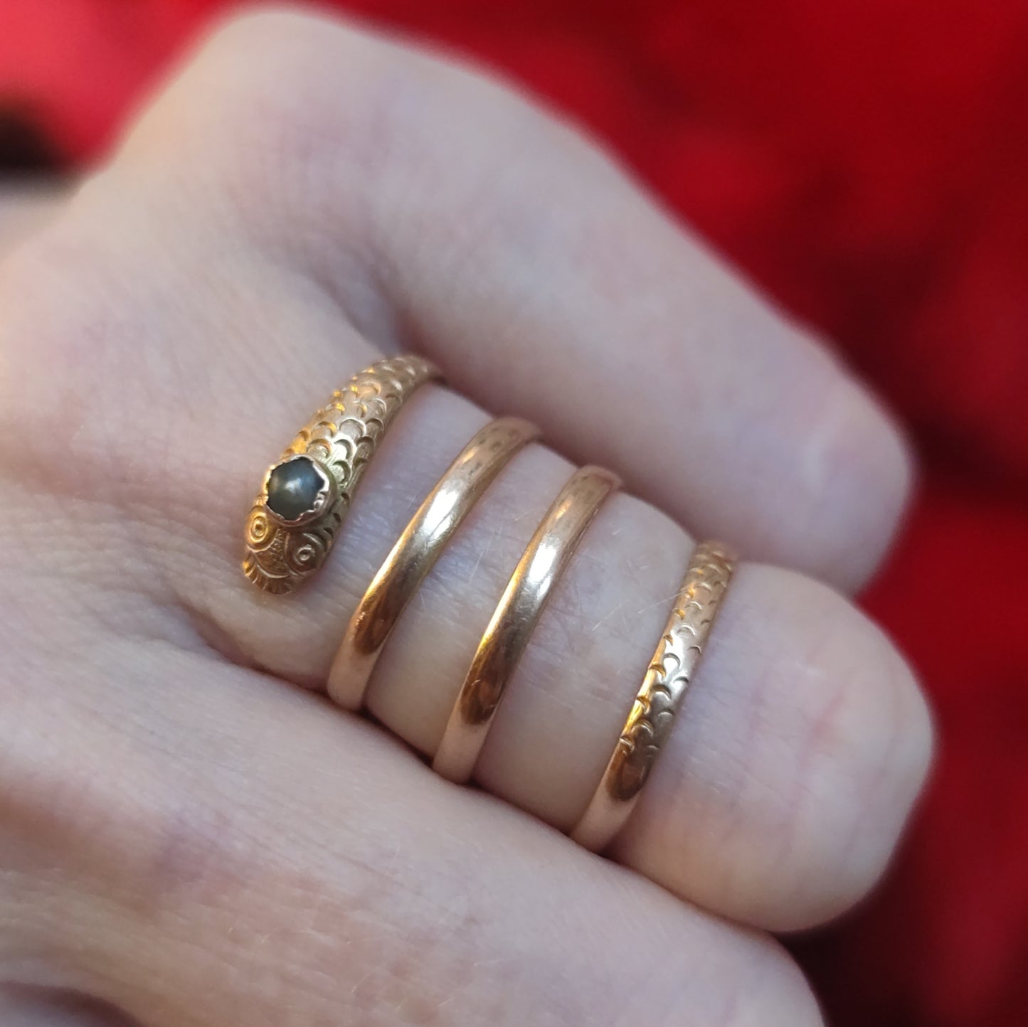 Sweet coiled serpent ring